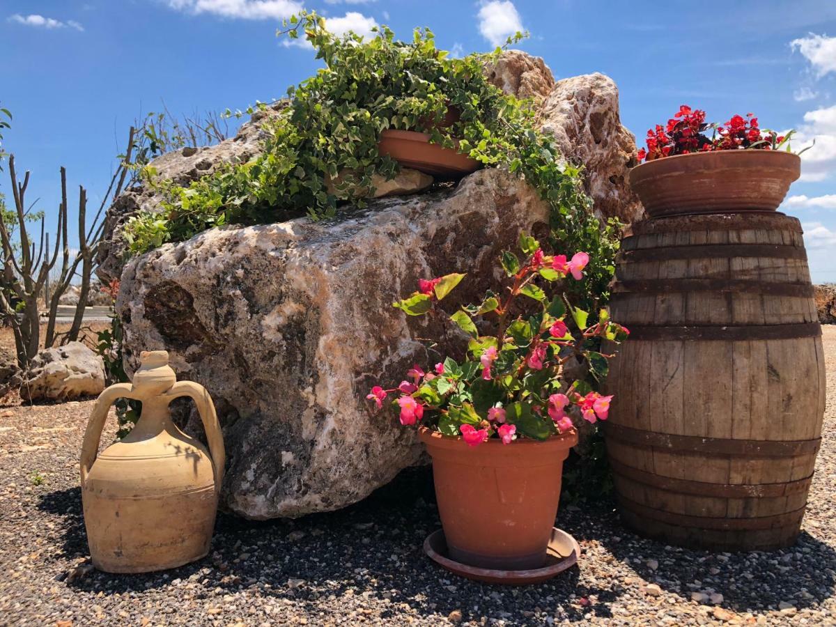 Masseria Paglieroni Мартина-Франка Экстерьер фото